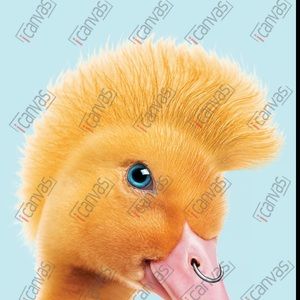 Meet your Posher, Janna